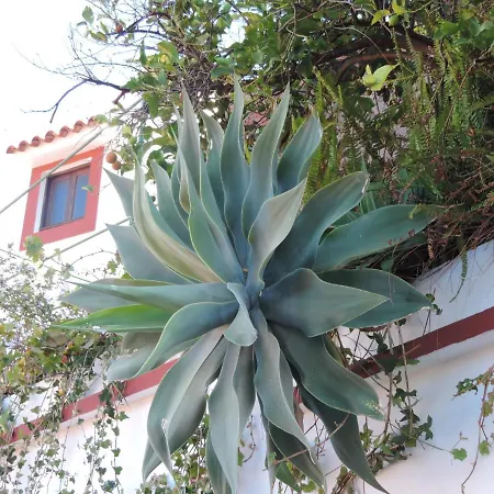 Nyaraló Rural Serafin Serafin The Views