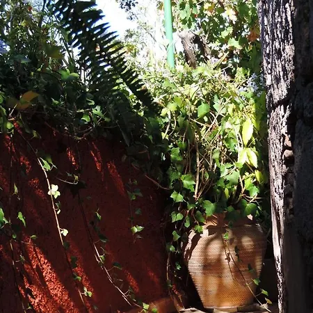 Rural Serafin Serafin The Views Nyaraló Tejeda