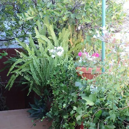 Rural Serafin Serafin The Views Tatil Evi