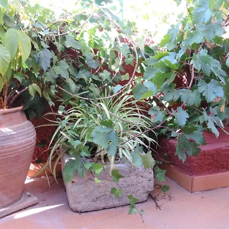 Rural Serafin Serafin The Views