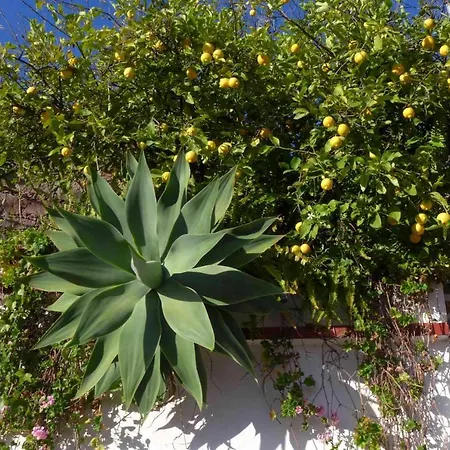 Nyaraló Rural Serafin Serafin The Views *