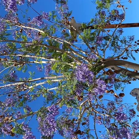 Rural Serafin Serafin The Views